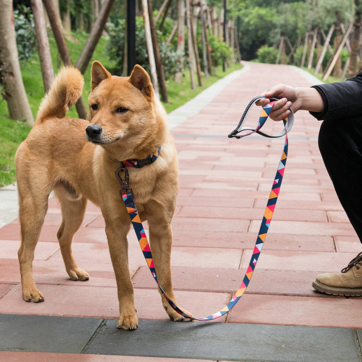 Enhance Your Dog Walking Experience with Our Pet Supplies Dog Leash