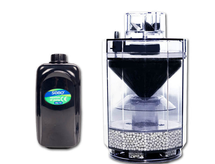 The Ultimate Solution for a Clean Aquarium