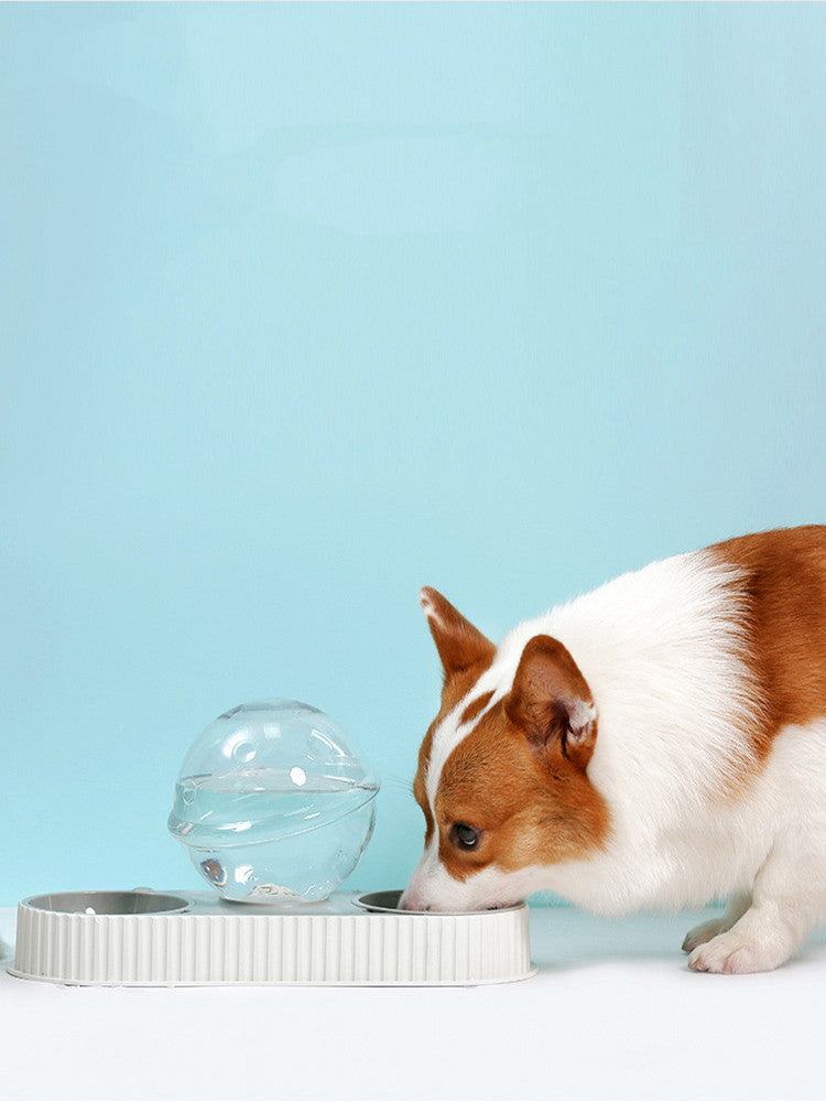 Why Every Pet Owner Needs the Plastic Pet Feeding Automatic Feeder