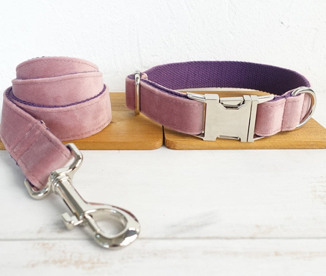 Experience the Ultimate Adventure with Our Dog Leash Pet Collar