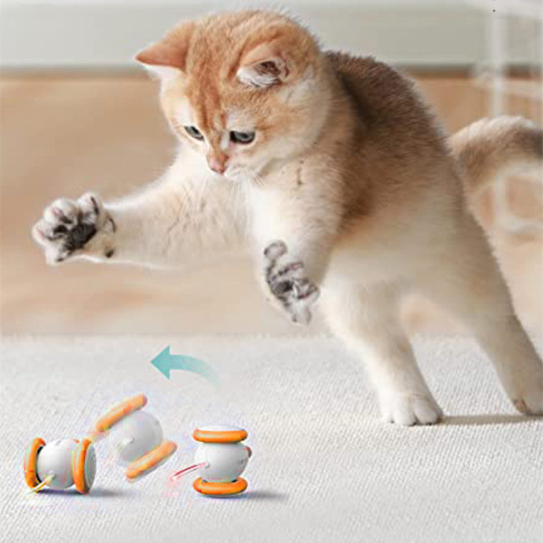 Discover the Magic of Play with Electric Intelligent Teasing Cat Charging Toys
