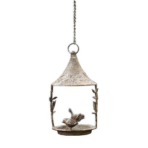 Discover the Joy of Birdwatching with Our Garden Balcony Bird Feeder