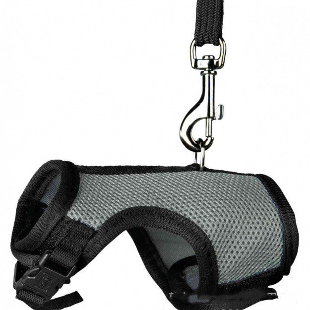 Experience Freedom with the Small Pet Leash