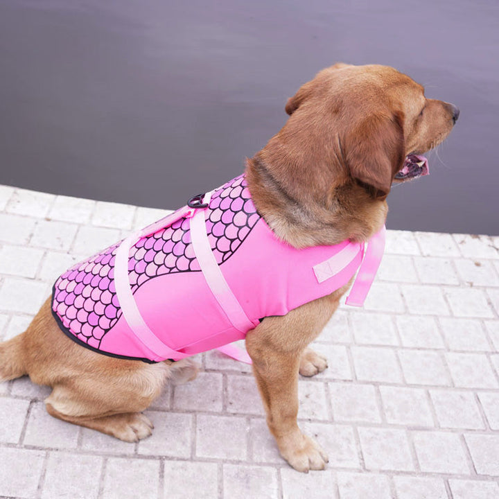 Why Every Pet Needs a Life Jacket
