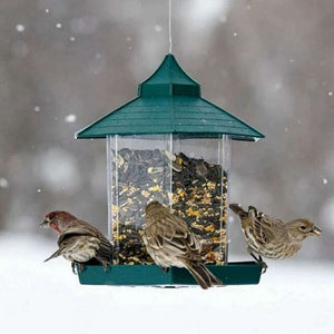 Transform Your Balcony into a Birdwatcher's Paradise