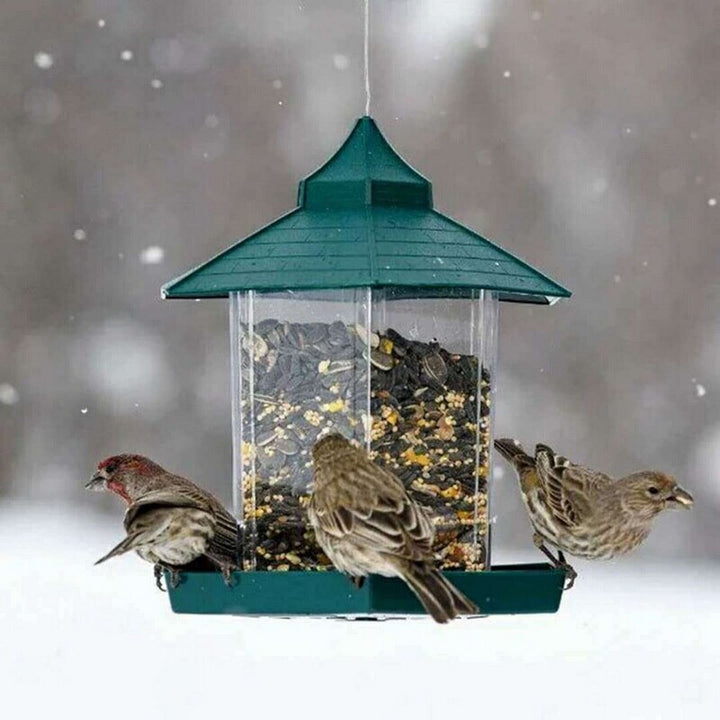 Transform Your Balcony into a Birdwatcher's Paradise