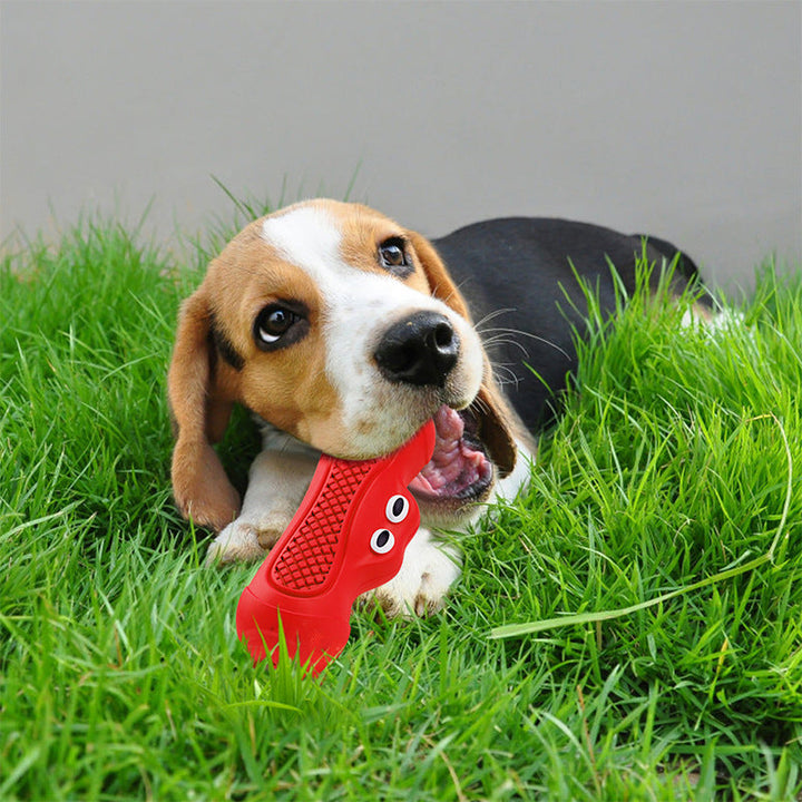 Why Your Pet Needs the Vocal Rugby Natural Rubber Teething Toy