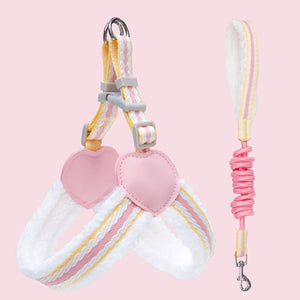 Enhance Your Summer Walks with the Perfect Leash