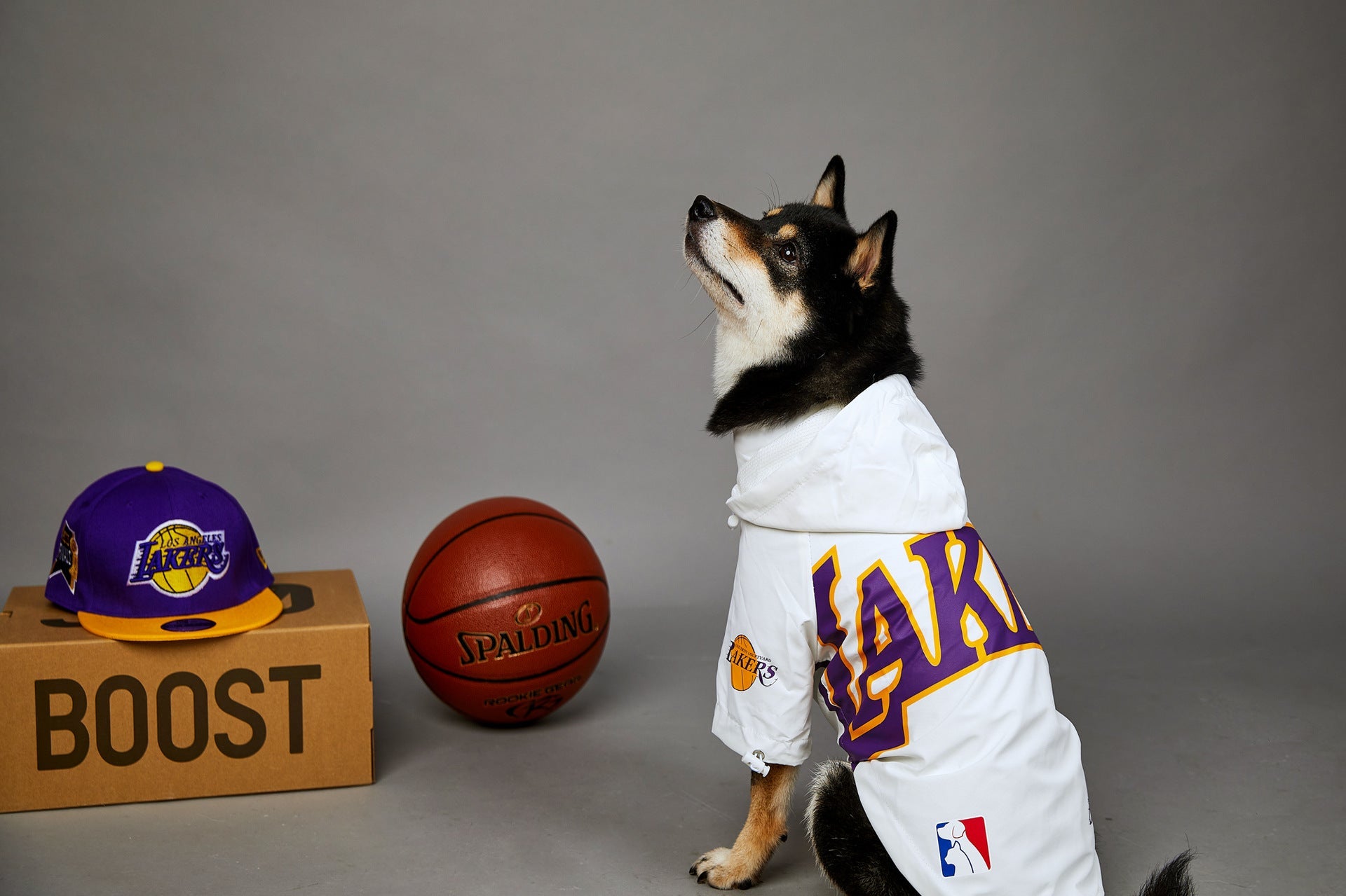 Elevate Your Pet's Style with the Polyester Pet Shell Jacket