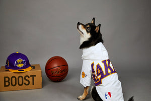 Elevate Your Pet's Style with the Polyester Pet Shell Jacket