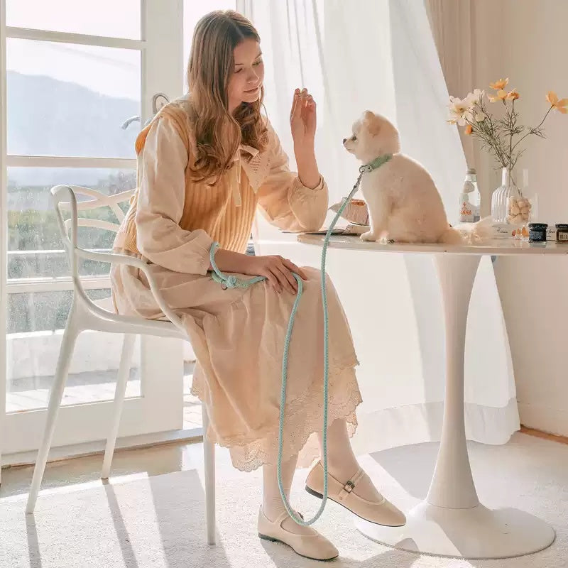 Elevate Your Dog Walking Experience with the Leather Hand Holding Rope Leash