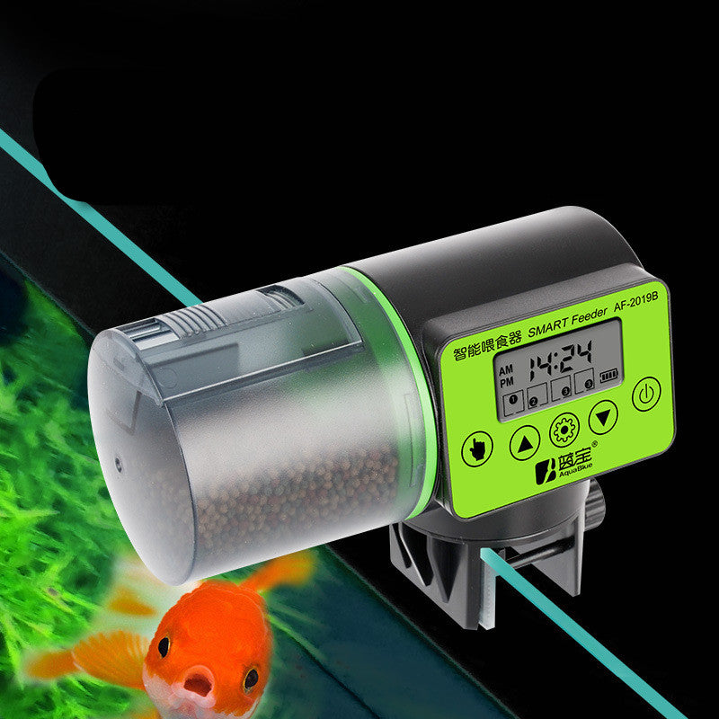 Effortless Feeding: The Large Capacity Fish Feeder