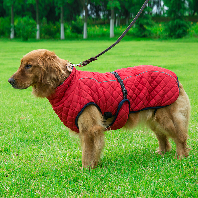 Keep Your Pet Warm and Stylish This Winter