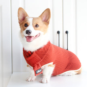 Discover the Adventure with the Dog Clothes Vintage Twist Pet Sweater