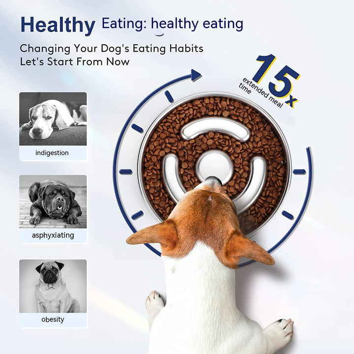 Transform Your Pet's Mealtime with the Pet Slow Feeding Bowl