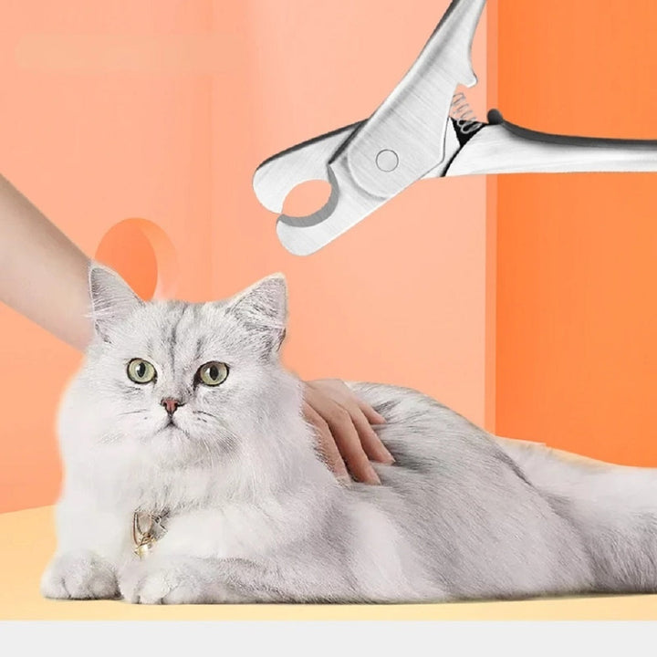 The Ultimate Solution for Pet Nail Care
