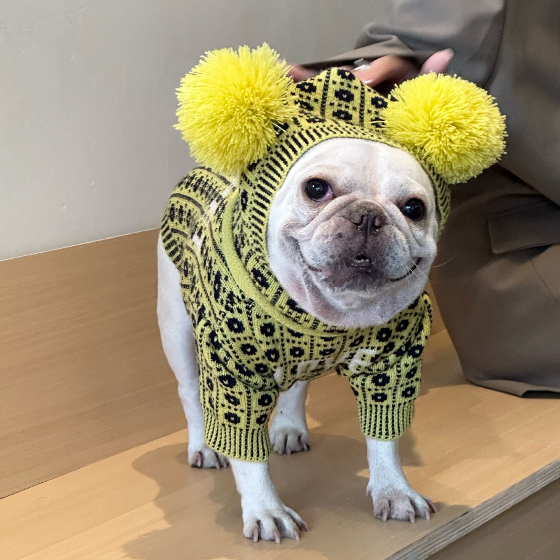 Keep Your Pets Warm with Our Winter Sweater