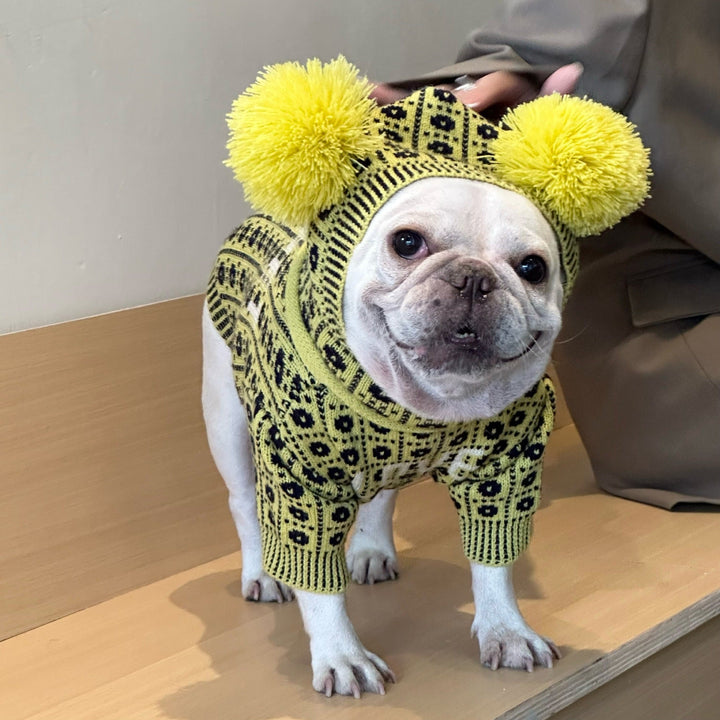 Keep Your Pets Warm with Our Winter Sweater