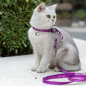 Why Your Cat Deserves the Best: The Pet Cat Bell Chest Strap Leash
