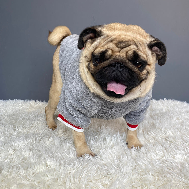 Pet Comfortable Sweater