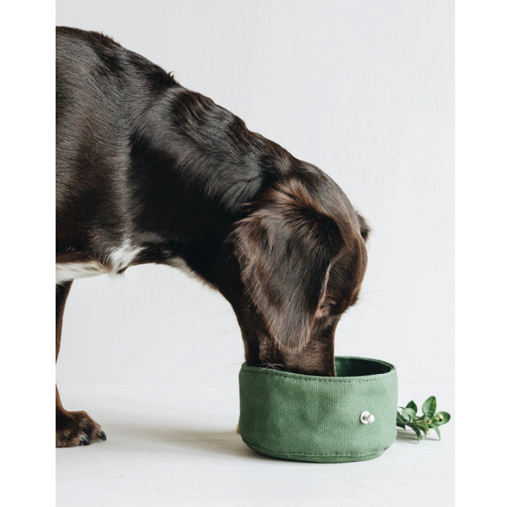 Pet Feeding Folding Bowl