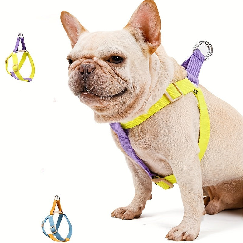 Rainbow Colorblock Pet Chest Leash – Earthly Pets Co.