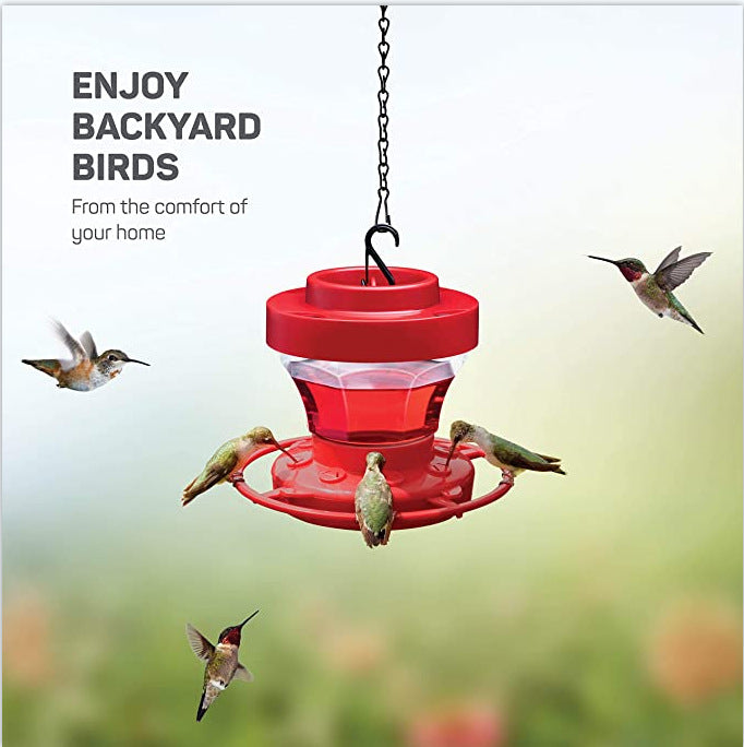 Bird Waterer Drinker Feeder