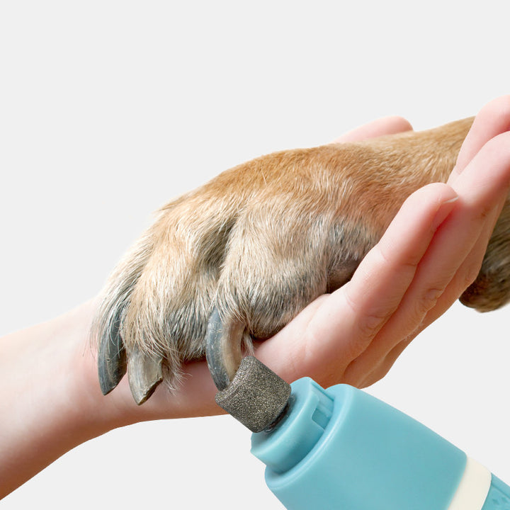 Pet Nail Polisher