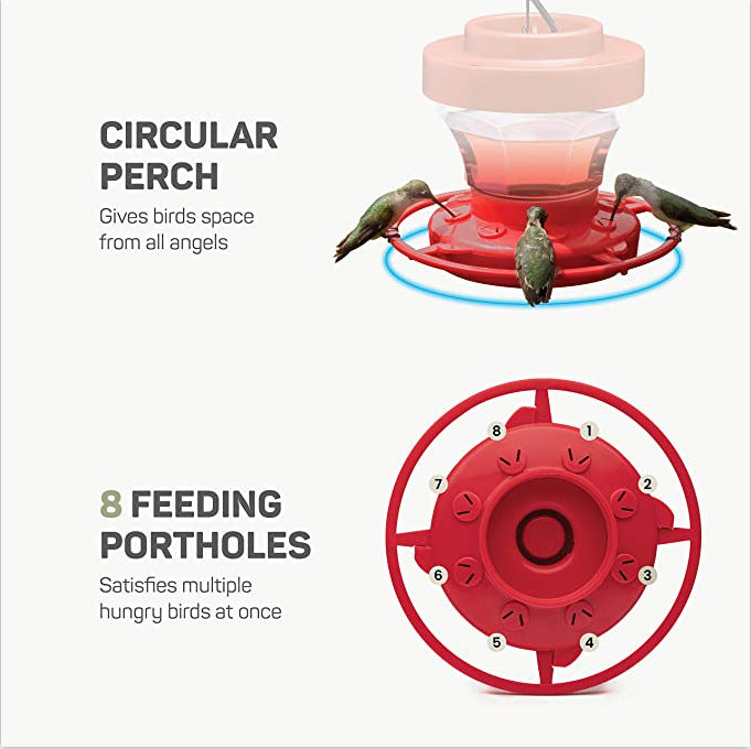 Bird Waterer Drinker Feeder