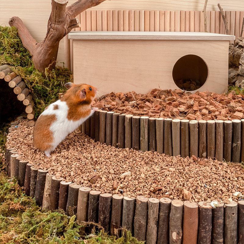 Oak Cork Digging Hamster Cage Landscaping Supplies