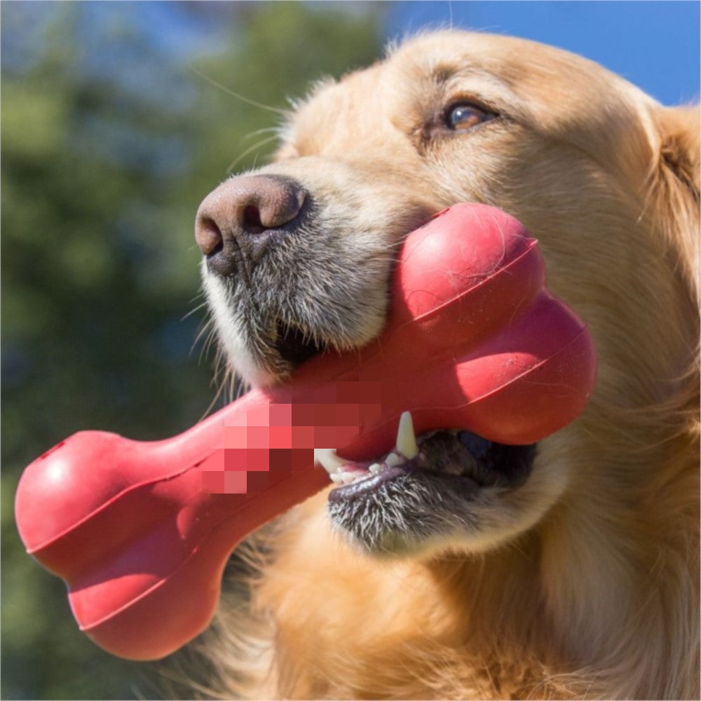 Dog Bite Resistant Rubber Teeth Grinding Toy