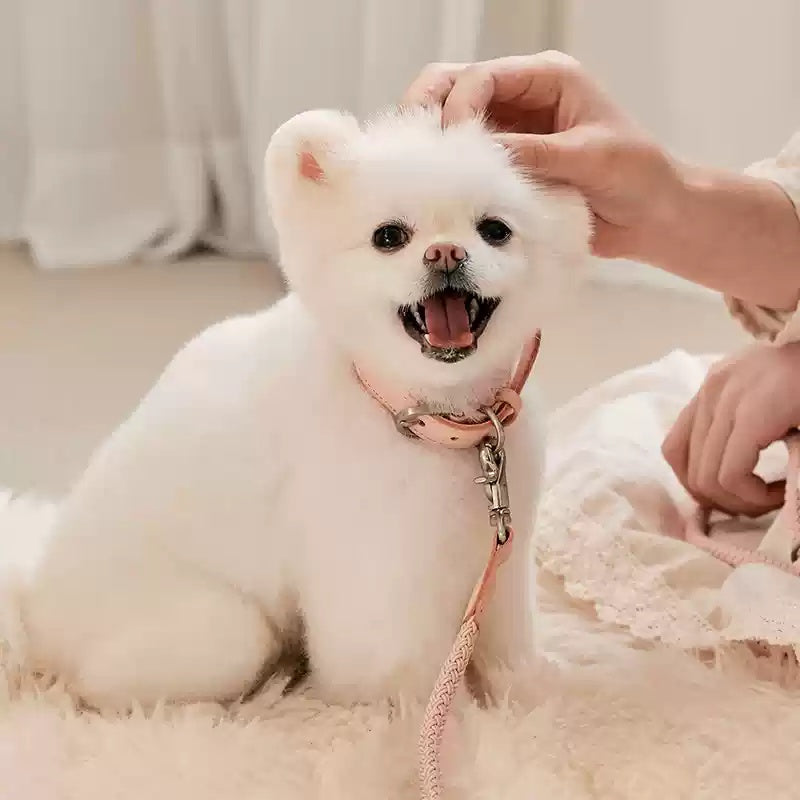 Leather Hand Holding Rope Leash