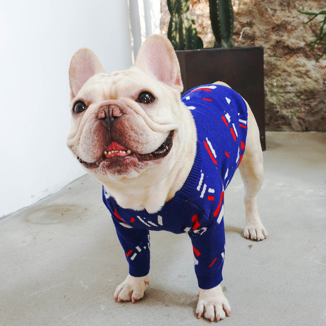 Pug Pet Sweater Dog Clothes