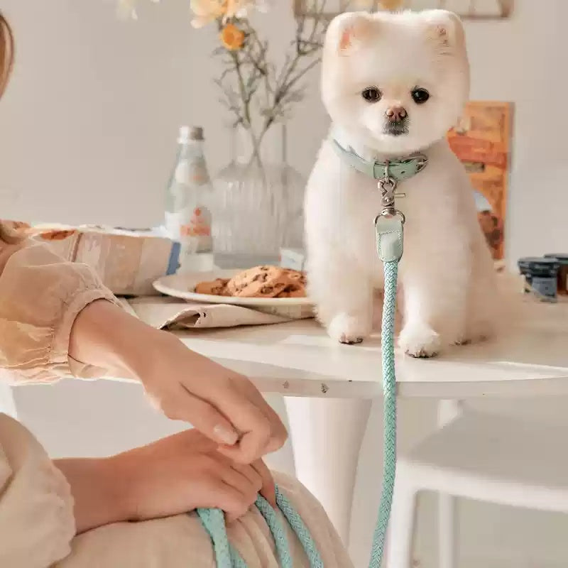 Leather Hand Holding Rope Leash