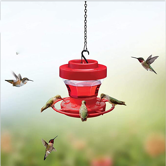 Bird Waterer Drinker Feeder