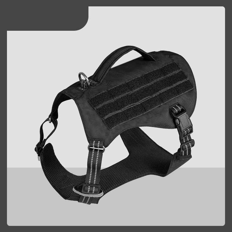 Pet Walking Dog Leash