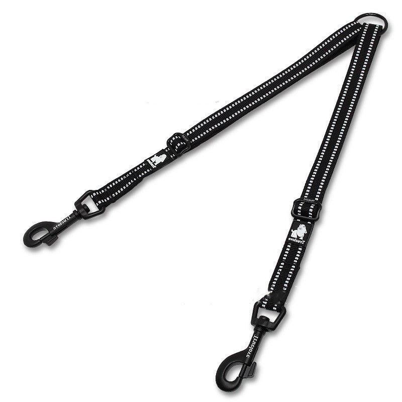 Head Dog Leash Outside Into Double Head Convenient