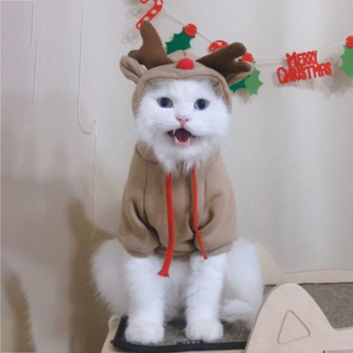 Hooded Sweater Apricot Pet Clothes