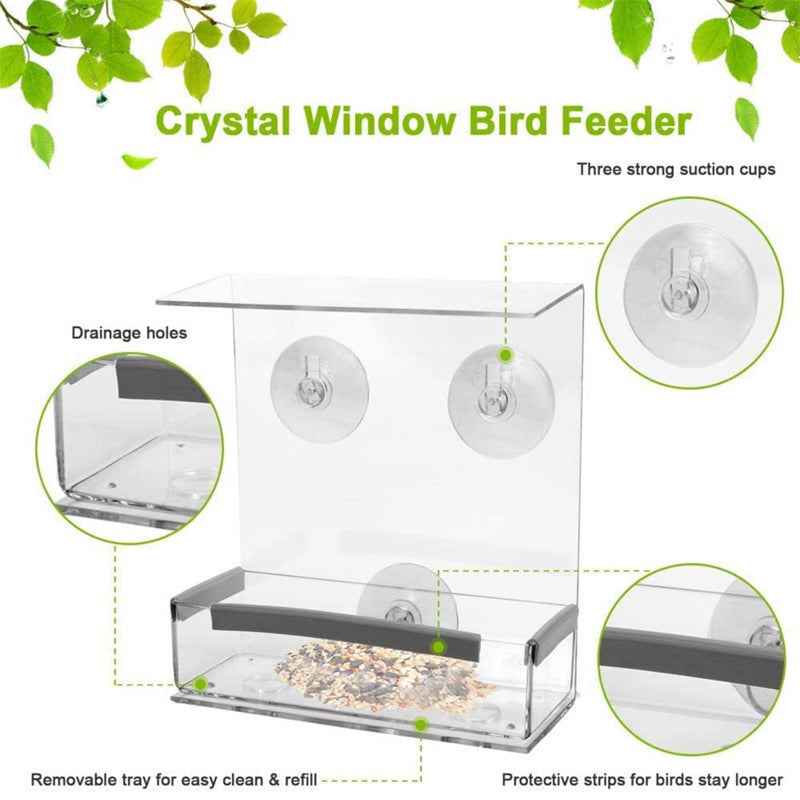 Acrylic Bird Feeder